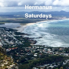Saturdays in Hermanus